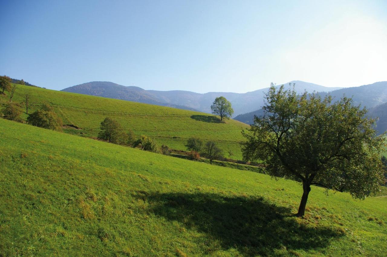 Zeitraum Ferienwohnung Tafelbuehl Elzach Exteriér fotografie